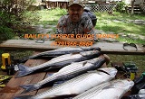 Striper fishing guide service